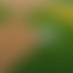 Unveiling the Future: 5 Revolutionary Sustainable Agtech Innovations for 2025