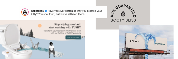 Tushy advertising, Storybrand Certified Guide