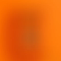 Paperback Publication Day for American Gun