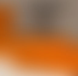 Pre-Order American Gun paperback