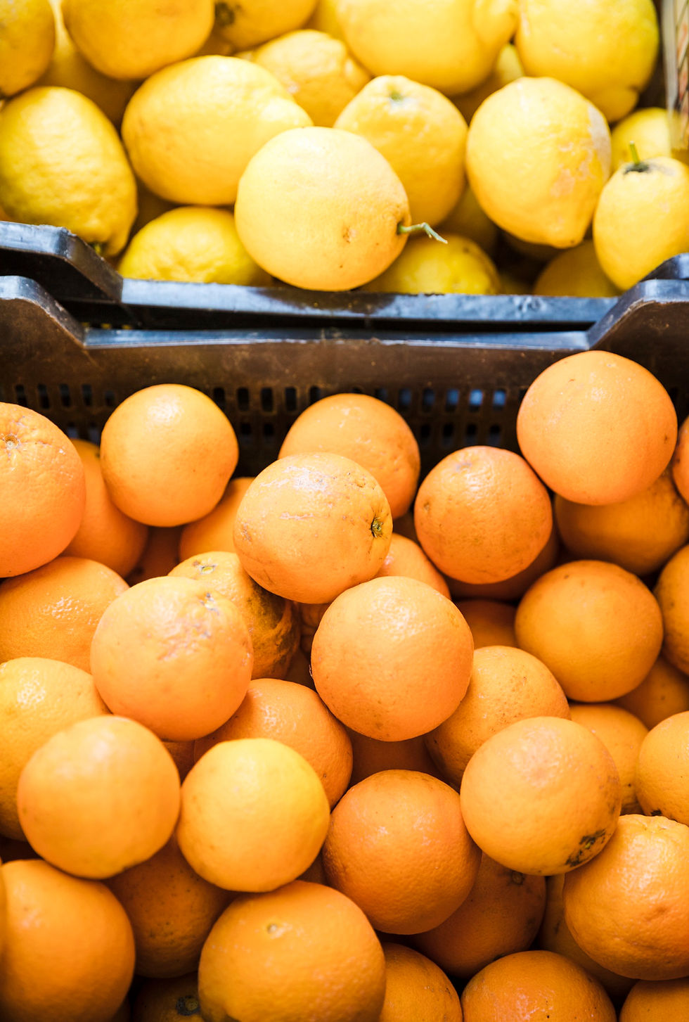oranges_lemons.jpg