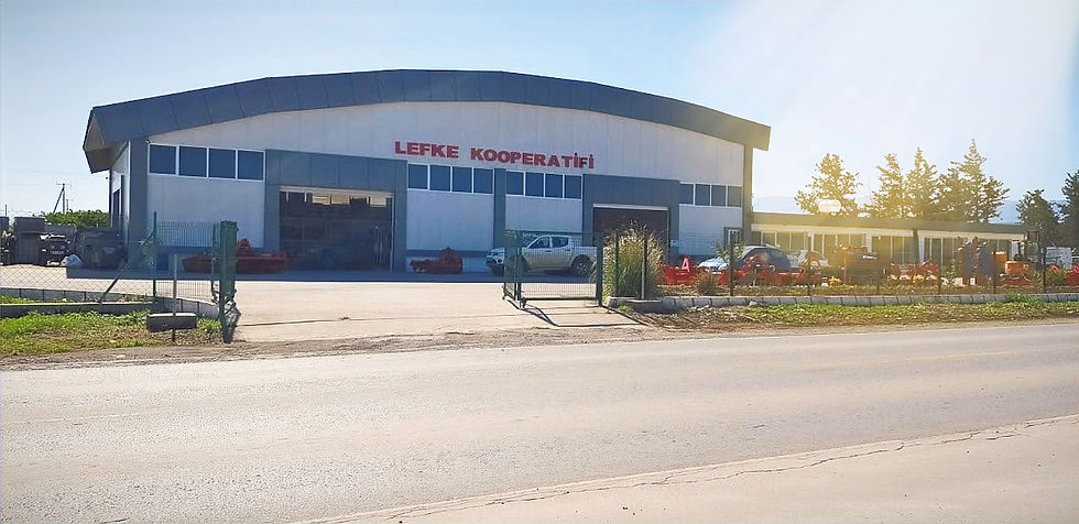 Lefke Koop_3.jpg