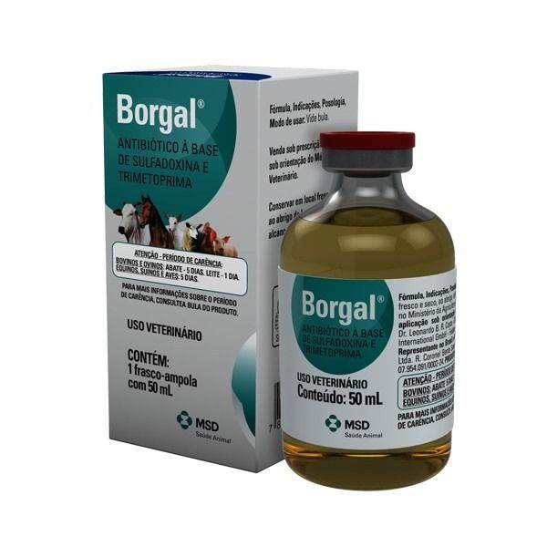 Borgal