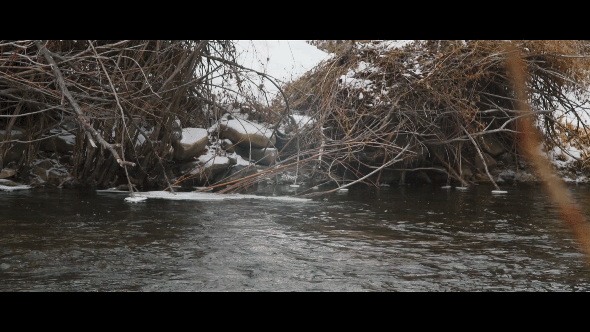 Cinemagraphs4.gif