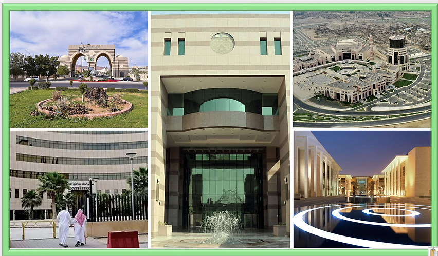 عدد من الجامعات السعودية.png