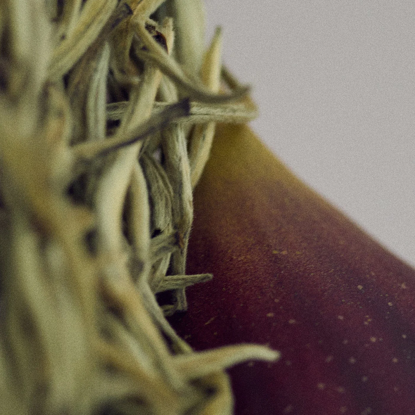 Nonfiction Gentle Night Korean niche perfume