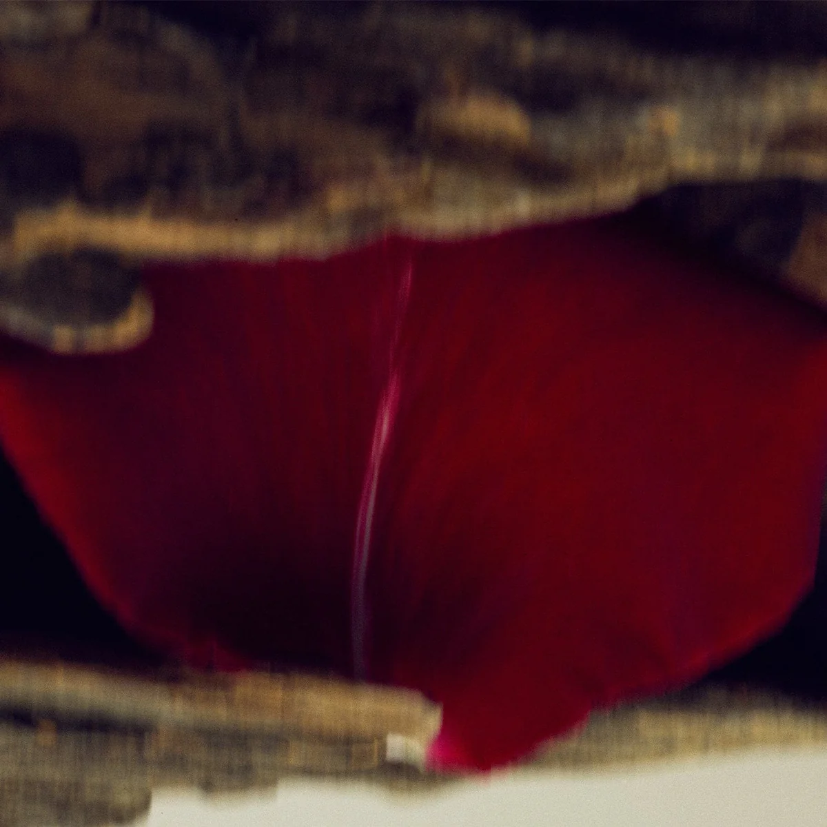 Nonfiction Gaiac Flower Perfume