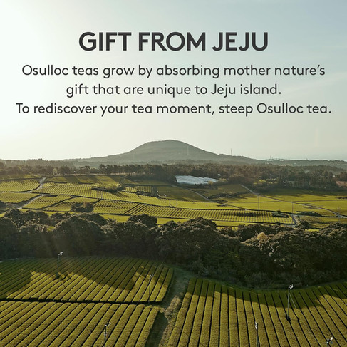 Osulloc Tea Collection