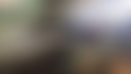 Alcaldía de Roatán y Base Naval de Islas de la Bahía, estrechan lazos de colaboración en beneficio de la población isleña.