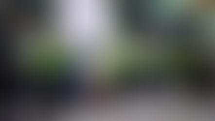 Feria turística 2025: un nuevo impulso para el turismo en Honduras.