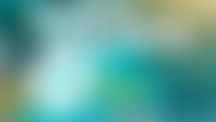 Aproveche: amnistía tributaria elimina intereses hasta diciembre de 2025.