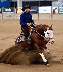 WhatsApp Image 2026-01.jpeg