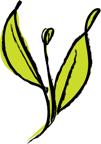 TEA-LEAVES.gif