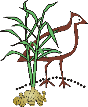 jaragunginger.gif