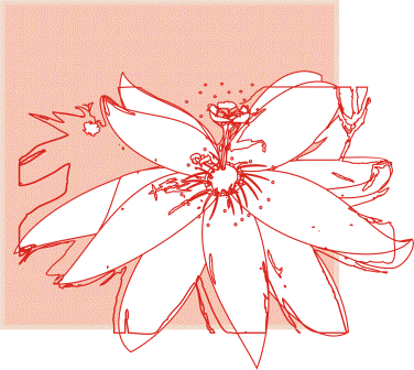 passionflower.gif