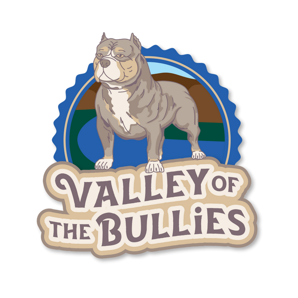 New York, Dog Breeder, American Bullies