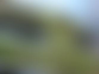 Réconcilier la ville avec le vivant : l'approche VIVUS des façades végétales