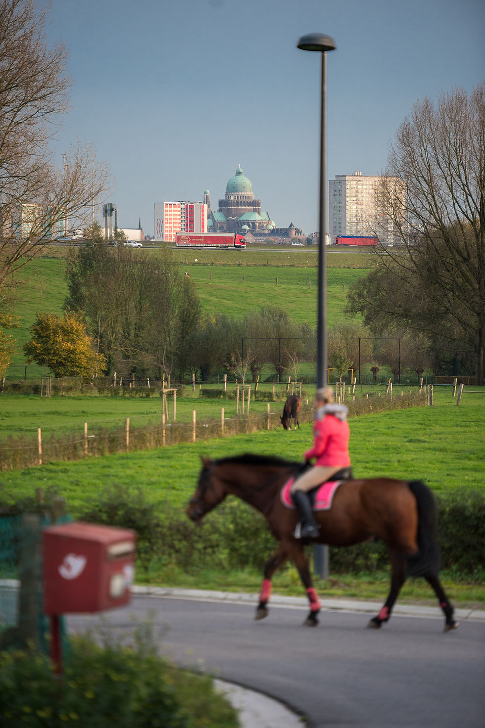 Les « vallées occidentales » de Zellik avec le ring et la basilique nationale de Koekelberg en arrière-plan - ©Filip Claessens