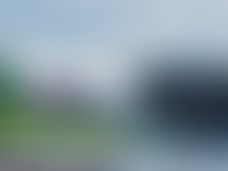 LA FRICHE URBAINE, UNE RÉSERVE FONCIÈRE PRIORITAIRE ?