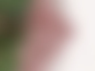 Coffee Market Surges Amidst Brazil's Drought and Global Climate Conditions