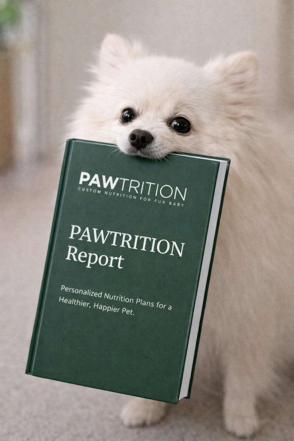 Premium Nutrition Report