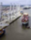 Untitled design (23).png