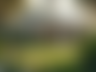 The Best Season to Transform Your Home in Florida for a Stress-Free Remodel