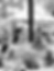 ADC448CE-FFAA-4F0F-81A0-EE1A1CC41132.heic