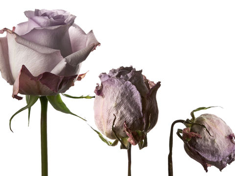 Is your brand underfunding advertising? You’re probably not alone.