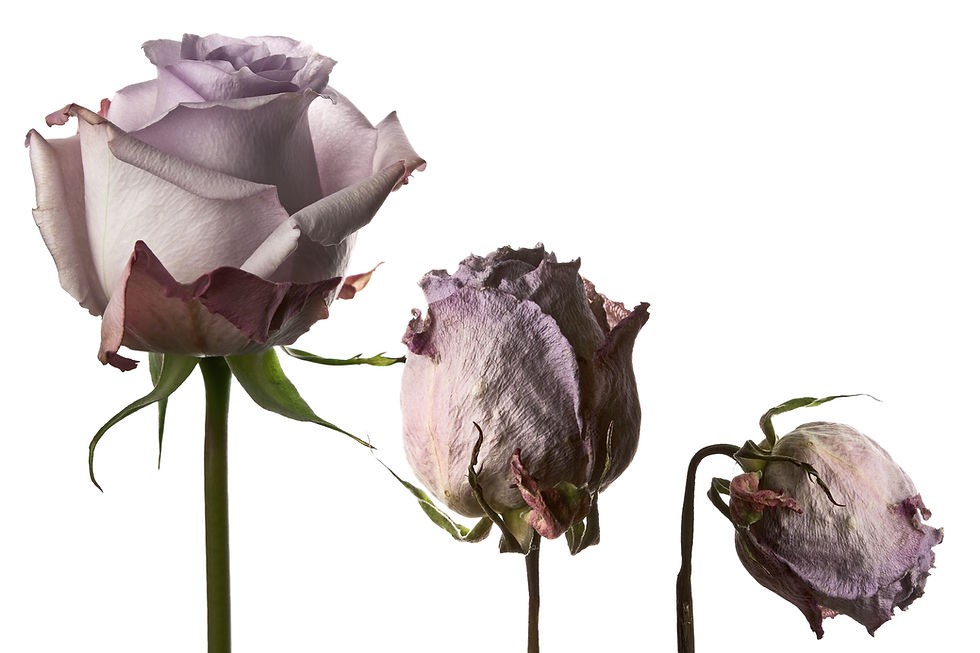Is your brand underfunding advertising? You’re probably not alone.