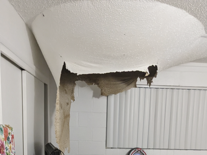 When Your Roof Decides to Tap Dance: The Saga of a Leaking Roof and a Caved-In Ceiling