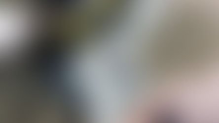 Why Roofing Is One of the Most Important Home Investments