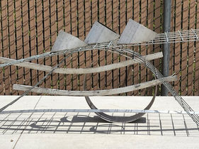 20220718_132542 - Copy.jpg