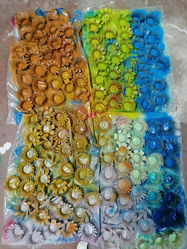 Spray painted Toilet roll coral
