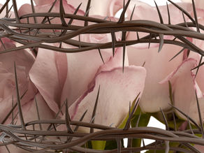 rosa com espinhos simbolizando vaginismo