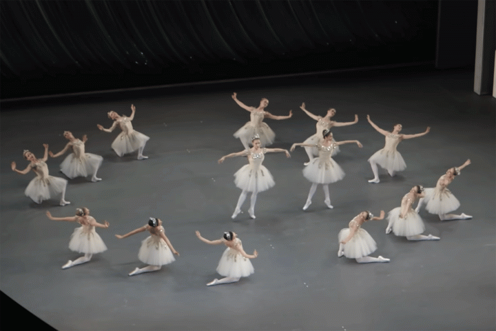 Budget lessons at the ballet