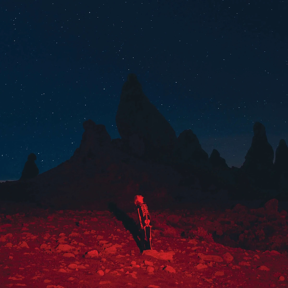 Released June 18th, 2020 | 'Punisher' album cover photographed by Olof Grind