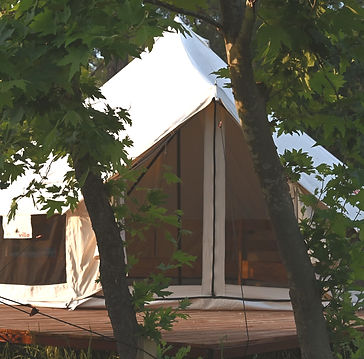 glamping_edited.jpg