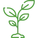 watering-plants-2.webp