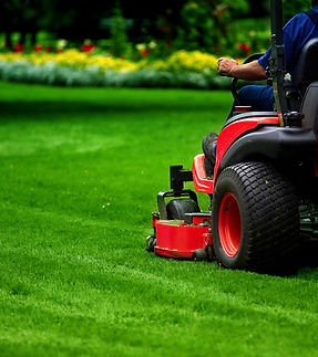 lawn maintenance.jpg