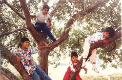 DTD, tree hugger ever since