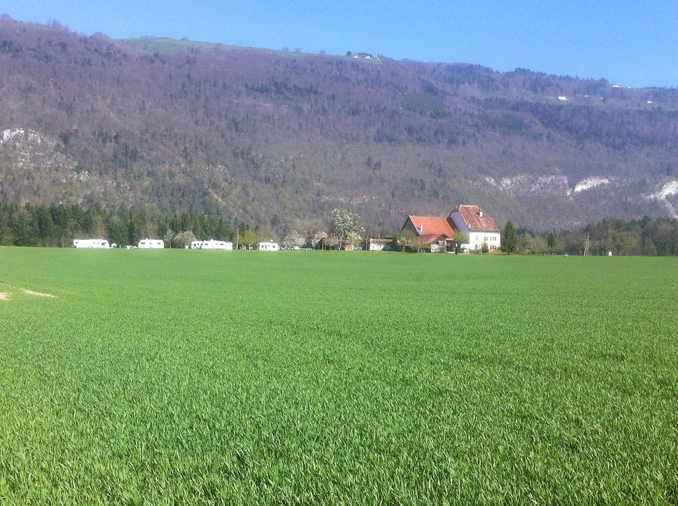 Notre ferme...