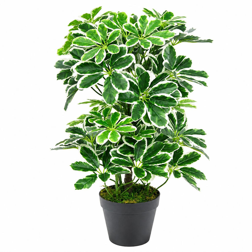 Thumbnail: Artificial Arboricola Plant 55cm Small Plant 55cm