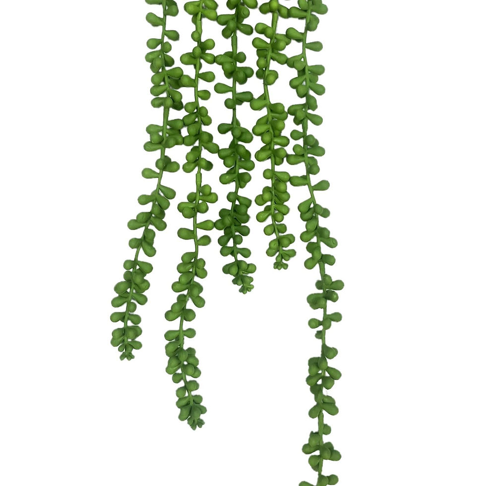 Thumbnail: Pack of 6 x 70cm Artificial String of Hanging Pearls - Premium Quality