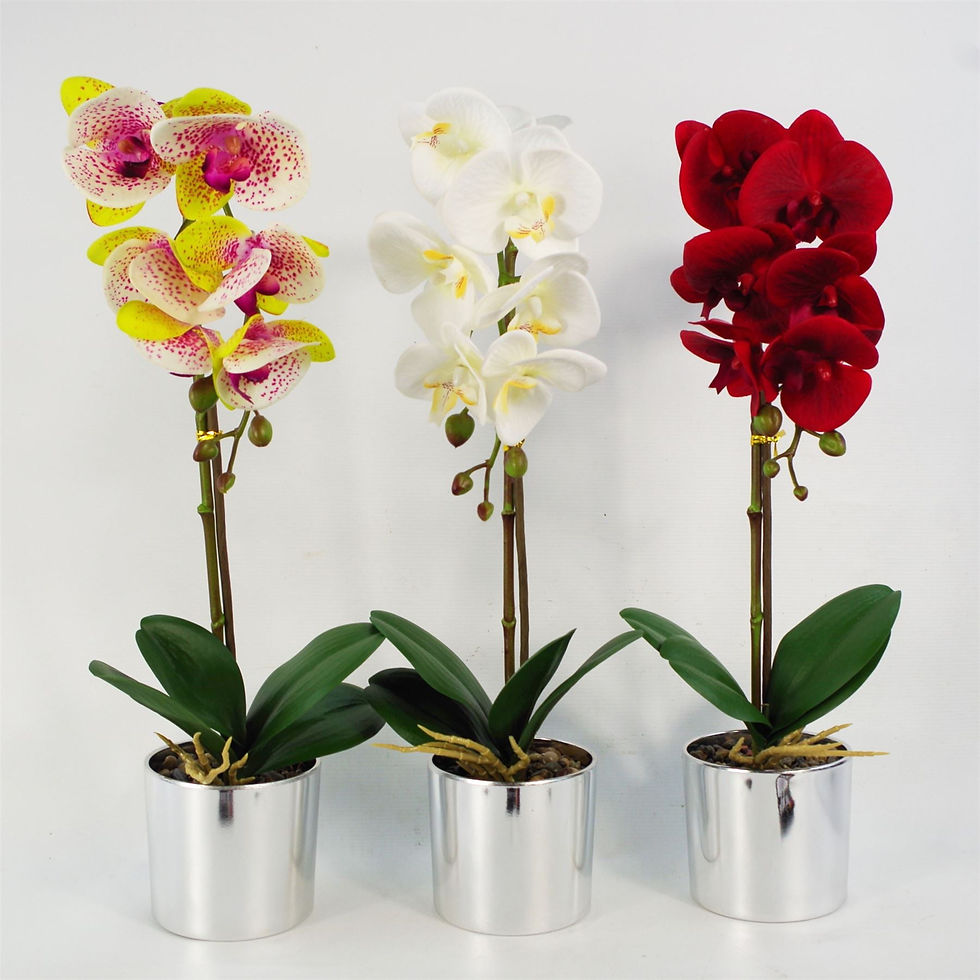 Thumbnail: Artificial White Orchid in Silver Pot – 46cm