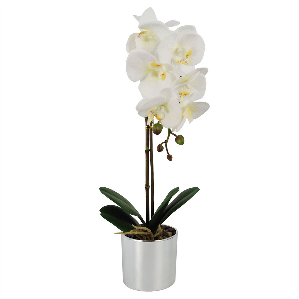 Thumbnail: Artificial White Orchid in Silver Pot – 46cm