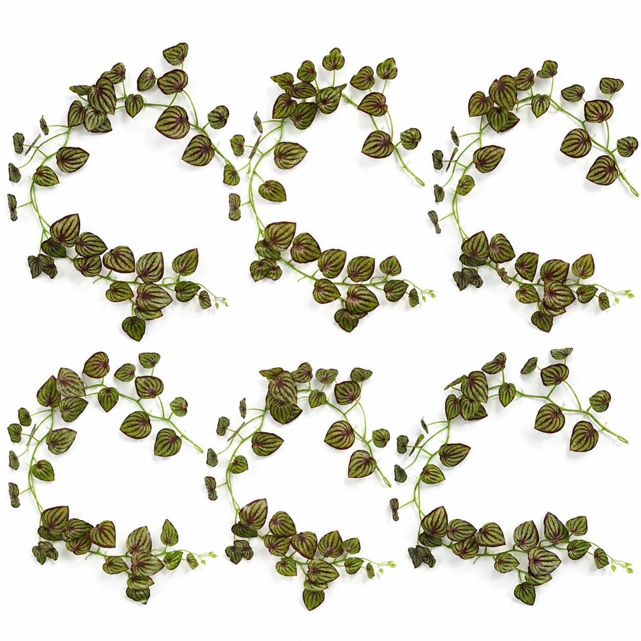 Pack of 6 Watermelon Peperomia Garlands – 160cm