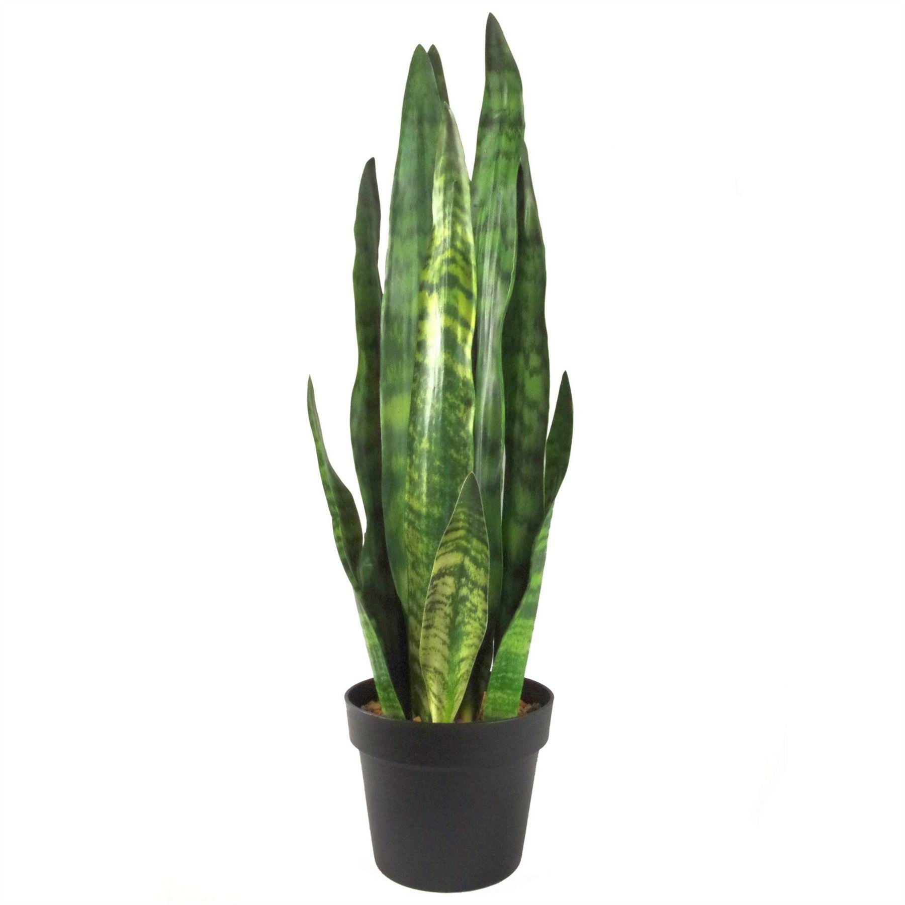 Artificial Sansevieria Zeylanica Plant – 70cm