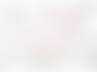 West Suffolk Council Briefing