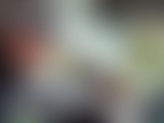 EV Europe Marathon proves huge success